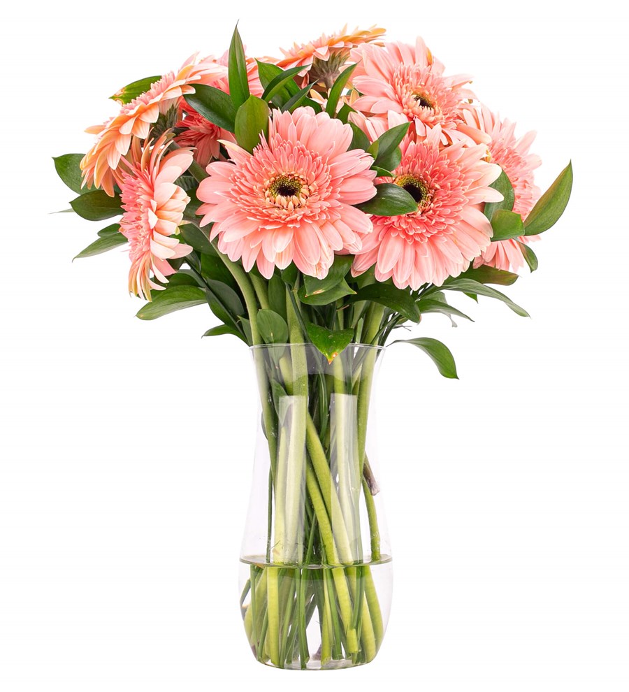 Gündüz Düşleri - Pembe Gerbera Aranjmanı