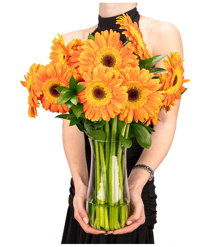 Gün Işığım - Turuncu Gerbera Aranjmanı