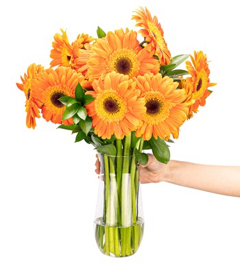 Gün Işığım - Turuncu Gerbera Aranjmanı