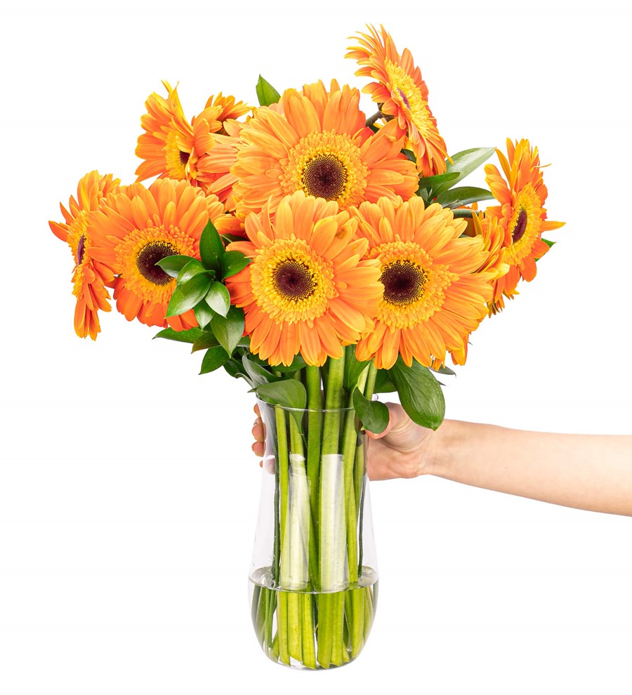 Gün Işığım - Turuncu Gerbera Aranjmanı