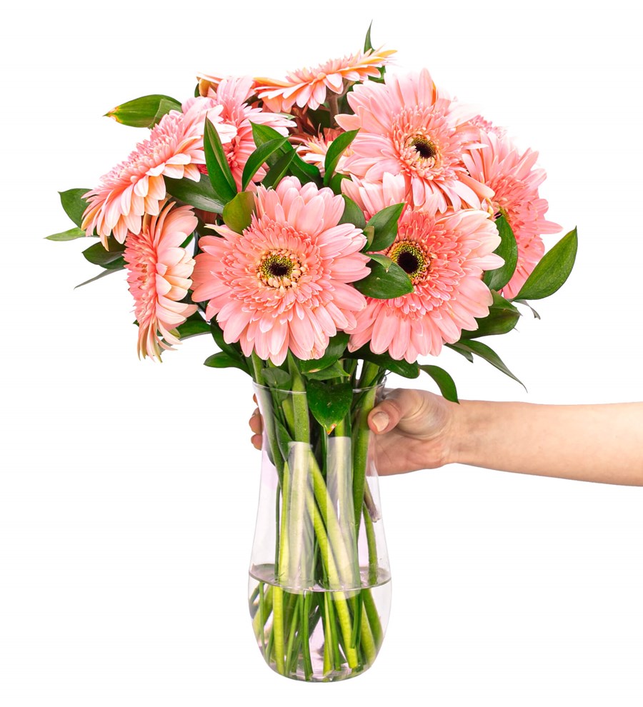 Gündüz Düşleri - Pembe Gerbera Aranjmanı