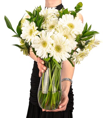 Düş Perisi - Beyaz Gerbera Aranjmanı