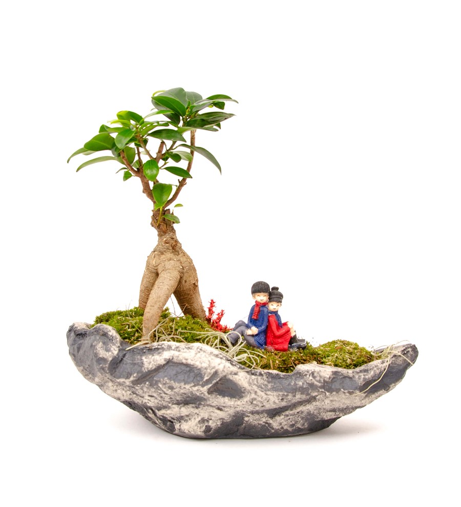 Marineris Serisi Sırt Sırta Bonsai Tasarım