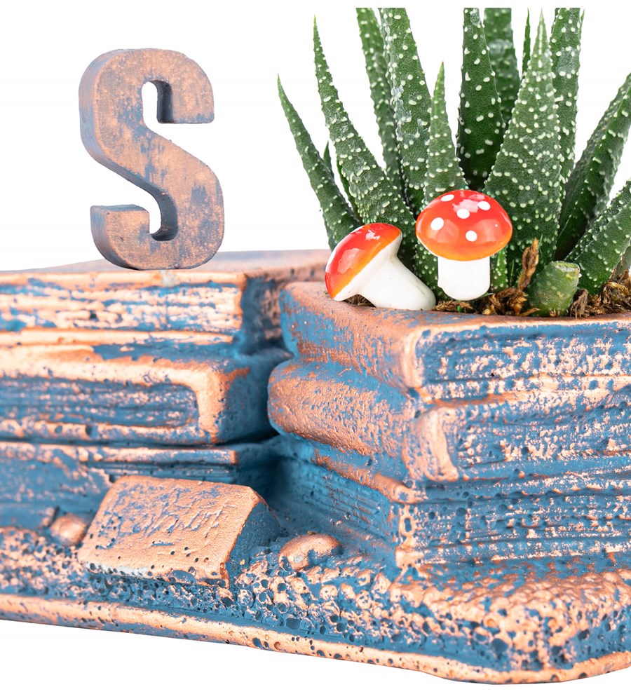 Kişiye Özel Harfli Library Serisi Haworthia Tasarım