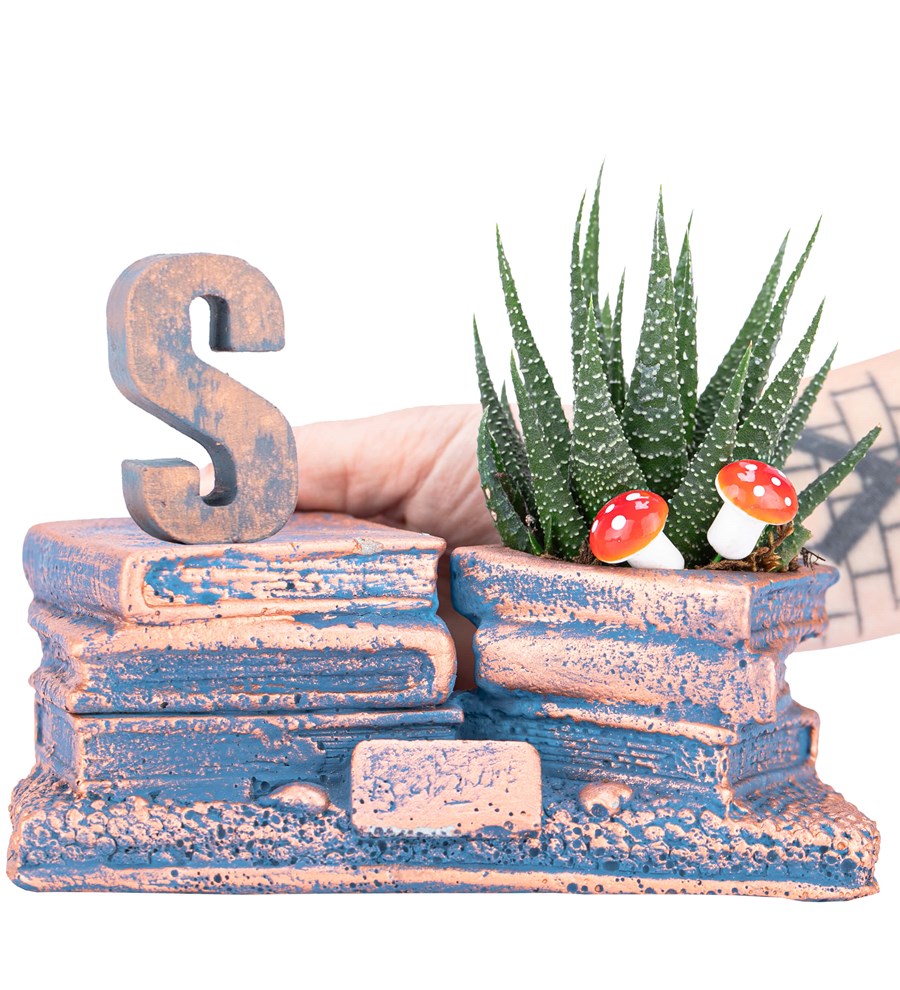 Kişiye Özel Harfli Library Serisi Haworthia Tasarım