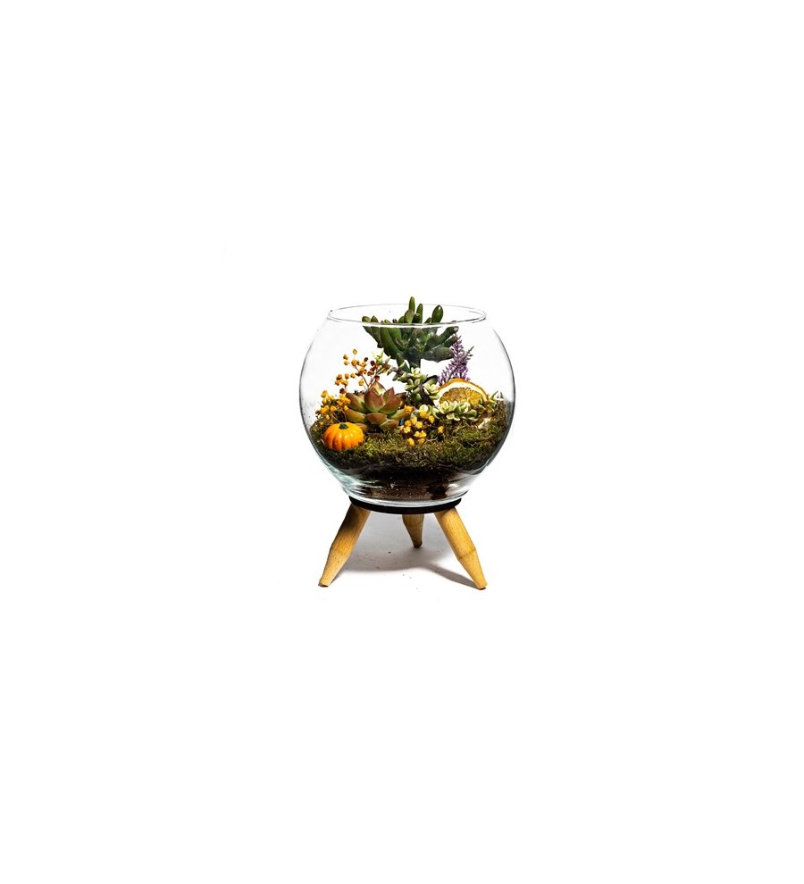 Teraryum Ayaklı Mini Bahçe