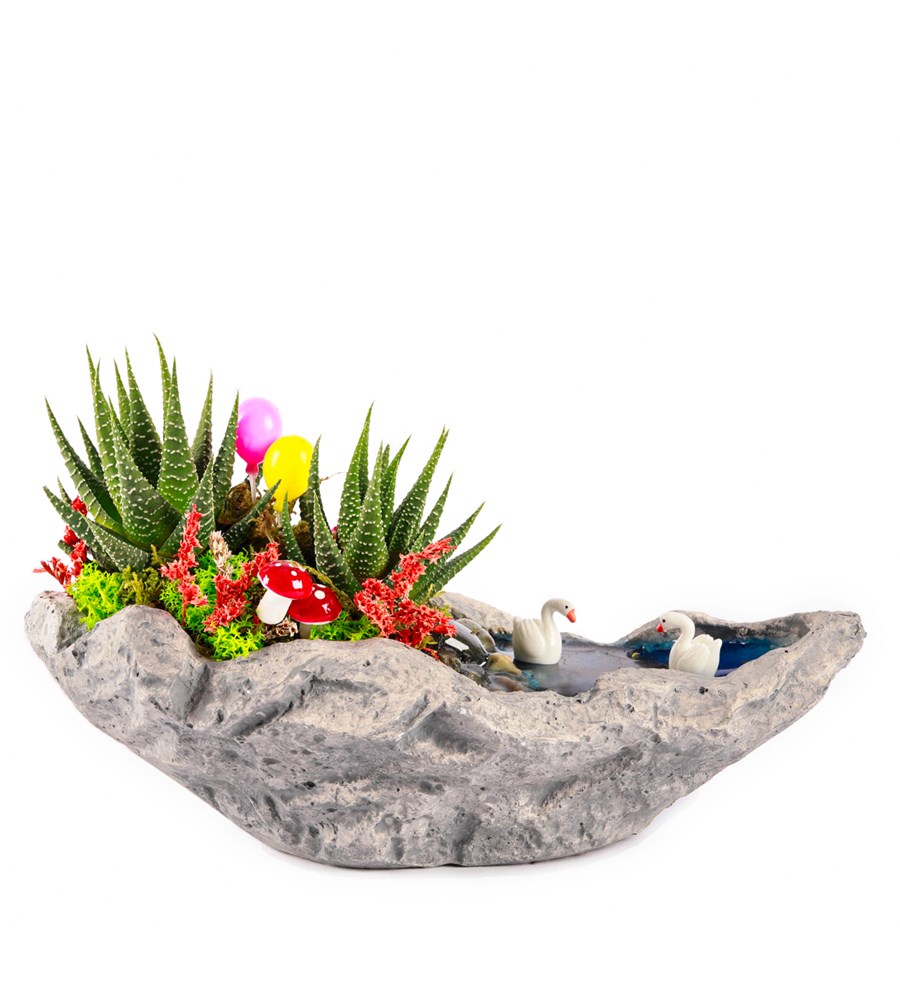 Marineris Serisi Balonlu Haworthia Teraryum