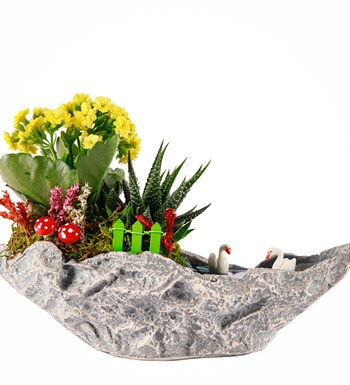 Marineris Serisi Haworthia ve Kalanchoe Teraryum