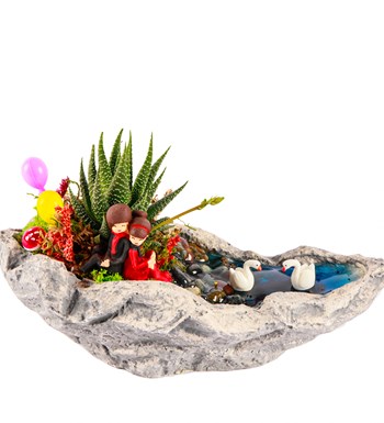 Marineris Serisi Sırt Sırta Balonlu Haworthia Teraryum