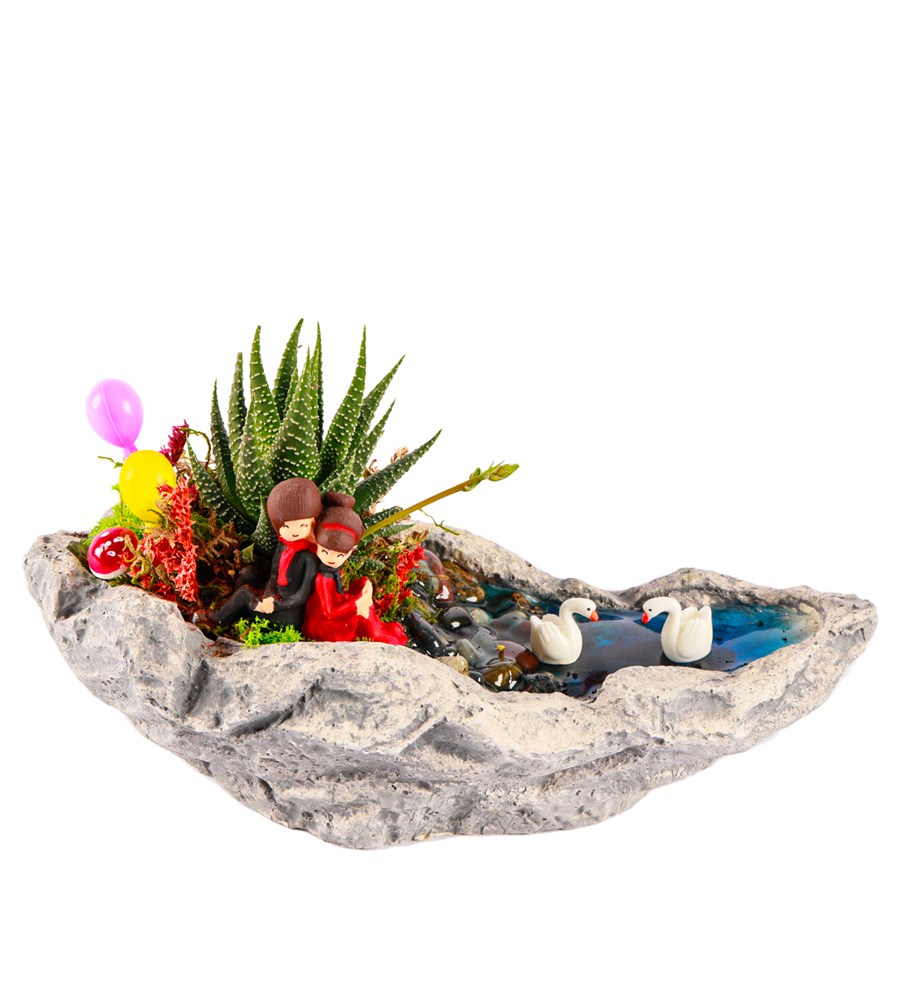 Marineris Serisi Sırt Sırta Balonlu Haworthia Teraryum