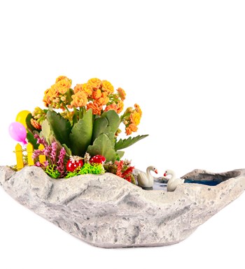 Marineris Serisi Balonlu Kalanchoe Teraryum