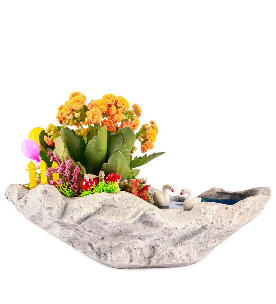 Marineris Serisi Balonlu Kalanchoe Teraryum