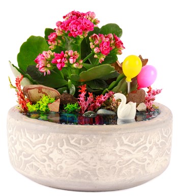 Beton Eskitme Balonlu Kalanchoe Teraryum