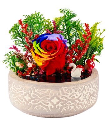 Beton Eskitme Dark Rainbow Solmayan Gül Teraryum