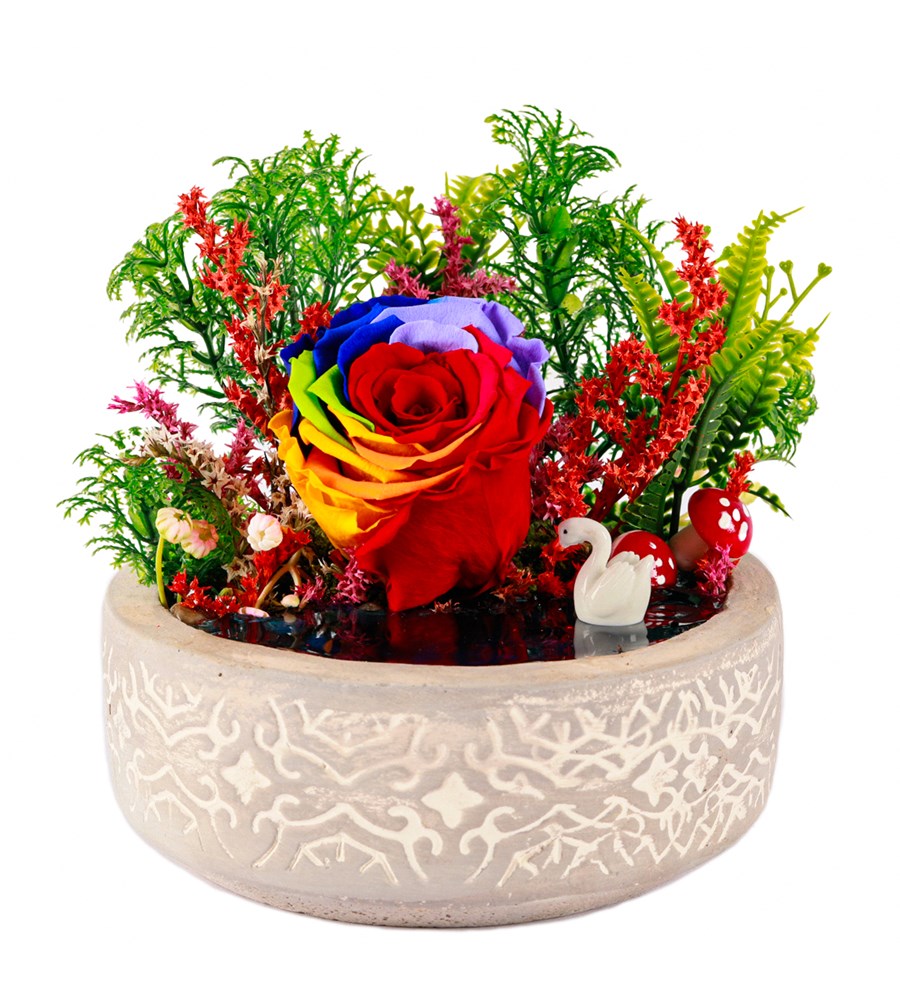 Beton Eskitme Dark Rainbow Solmayan Gül Teraryum