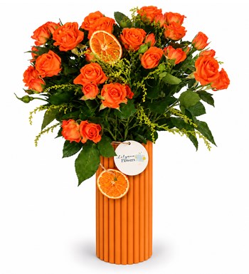 Polimer Vazoda Turuncu Rüyalar