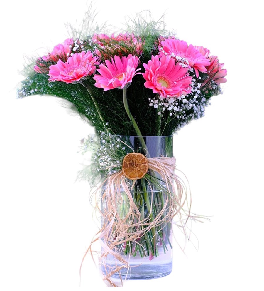 Bir Dolu Gerbera