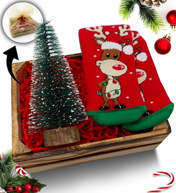 Lilyana Flowers - Mini Kasa İçerisinde Çam Ağacı  & Kişiye Özel Kırmızı Kupa Hediye Seti