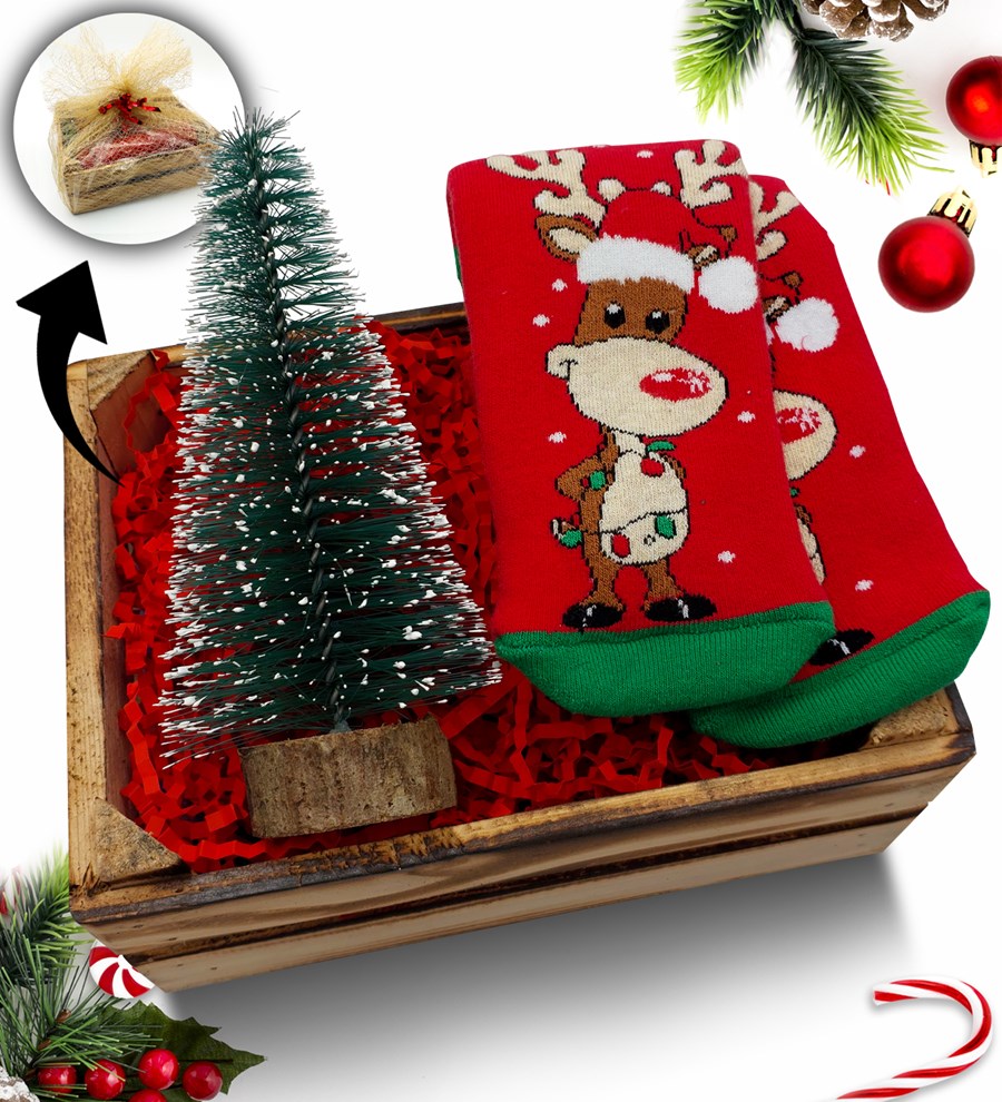 Mini Kasa İçerisinde Çam Ağacı  & Kişiye Özel Kırmızı Kupa Hediye Seti