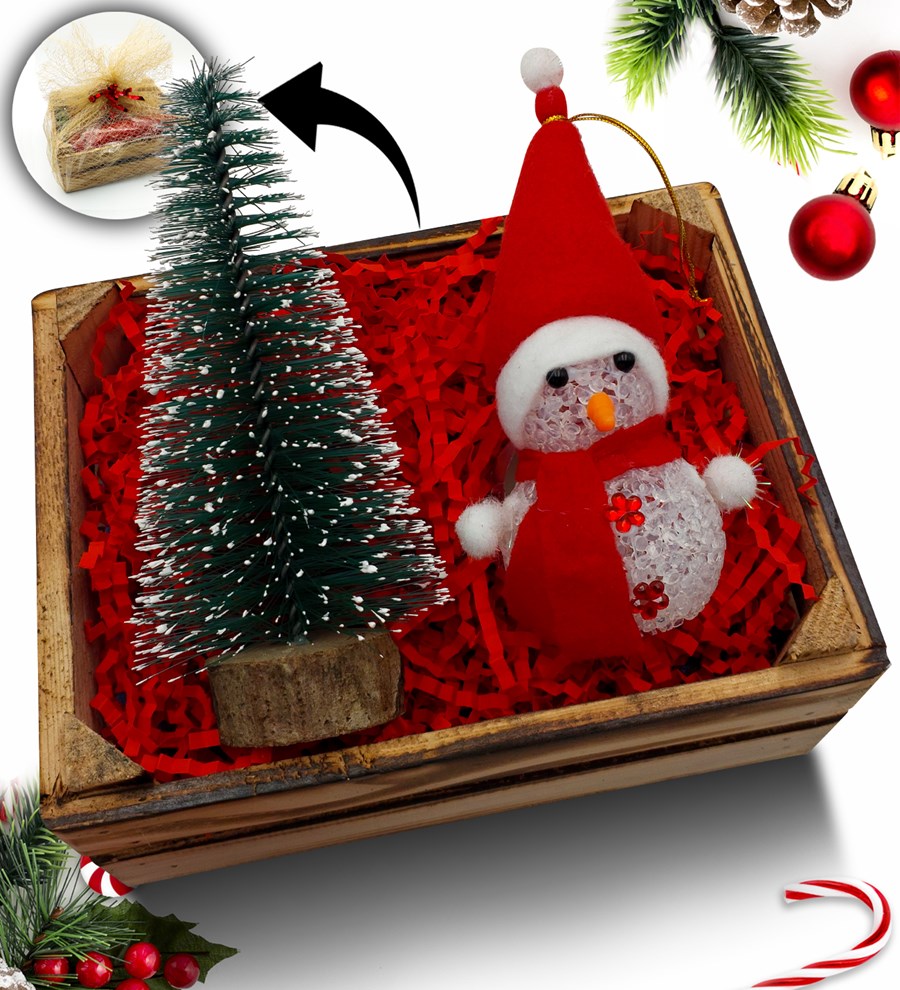 Mini Kasa İçerisinde Çam Ağacı & Kardan Adam Hediye Seti