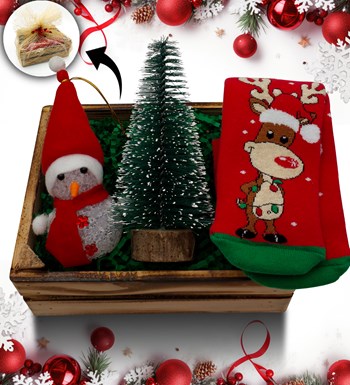 Lilyana Flowers - Mini Kasa İçerisinde Çam Ağacı  & Kardan Adam & Yılbaşı Çorabı Hediye Seti