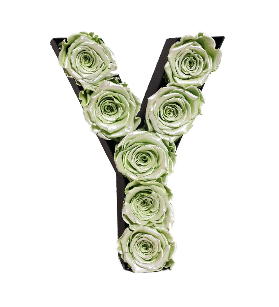 Mint Yeşili İthal Canlı Solmayan Gül