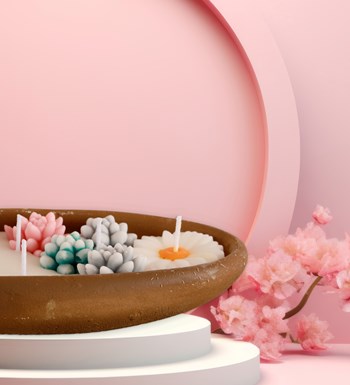 %100 Doğal Soya Wax Dekoratif Saksıda Sukulent Tasarım Mum
