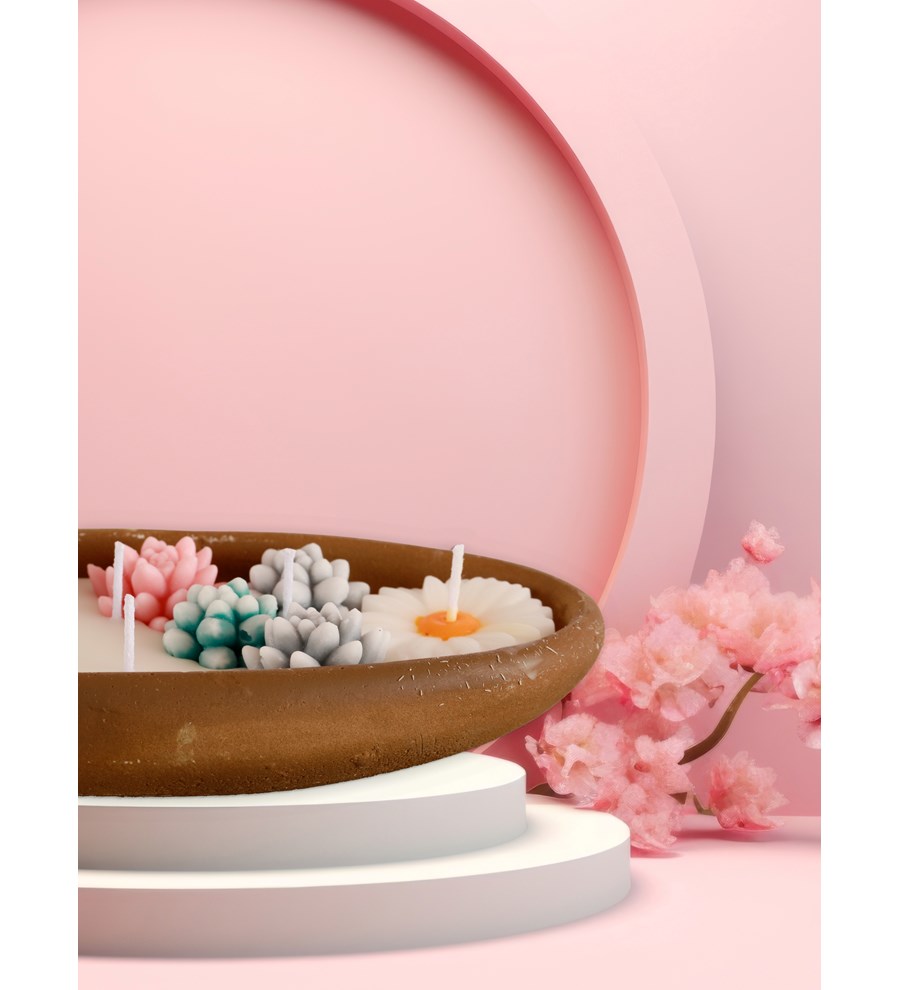 %100 Doğal Soya Wax Dekoratif Saksıda Sukulent Tasarım Mum
