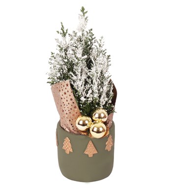 Lilyana Flowers - Haki Dekoratif Saksıda Yılbaşı Ağacı