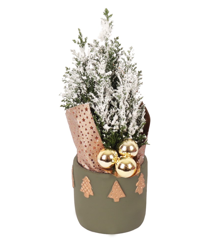 Haki Dekoratif Saksıda Yılbaşı Ağacı